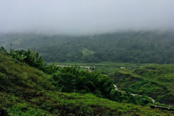 Misty green hills of Karbi Anglong, the largest of the districts of Assam by area