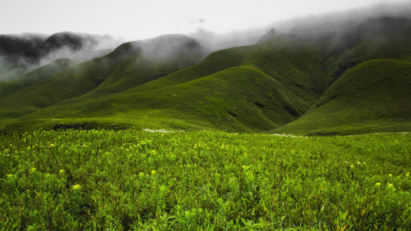 Nagaland ILP lets Indian visitors explore places like the green hills of Dzukou Valley