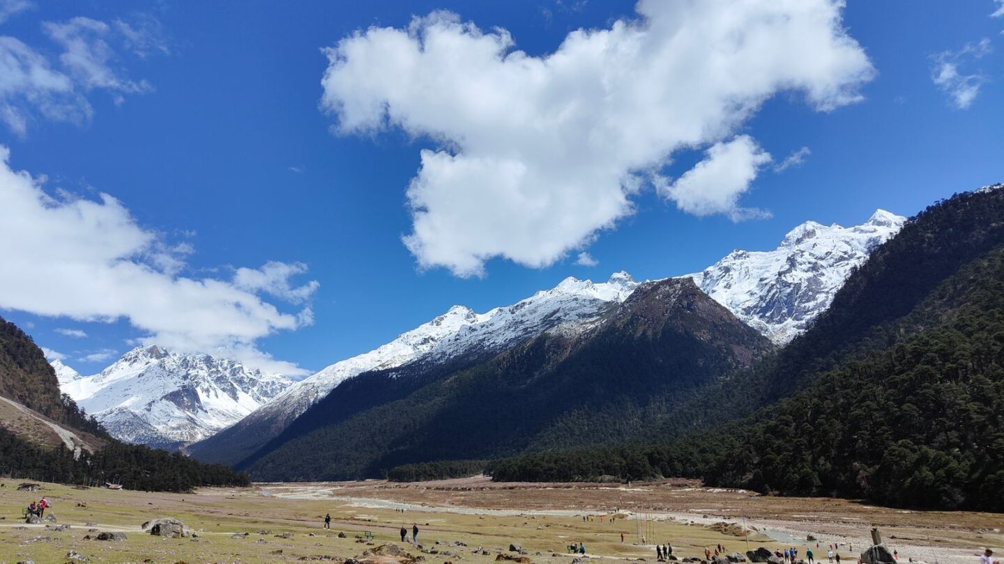Yumthang Valley with snow-capped peaks rising above the meadows in North Sikkim