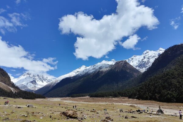 Yumthang Valley with snow-capped peaks rising above the meadows in North Sikkim